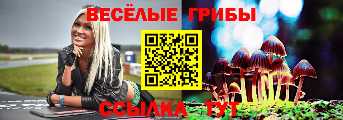 Псилоцибиновые грибы Cubensis Сергиев Посад
