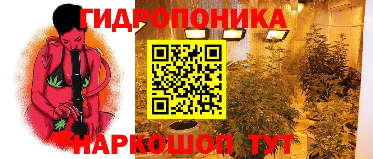 Сергиев Посад  Бошки марихуана гибрид  Вход с VPN  Бошки марихуана LSD WEED  Бошки марихуана планчик 